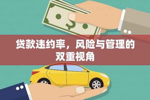 岢岚贷款违约率，风险与管理的双重视角