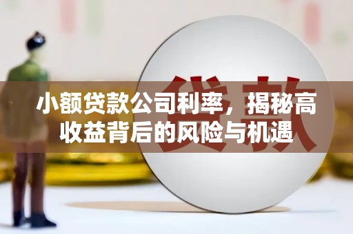 岢岚小额贷款公司利率，揭秘高收益背后的风险与机遇