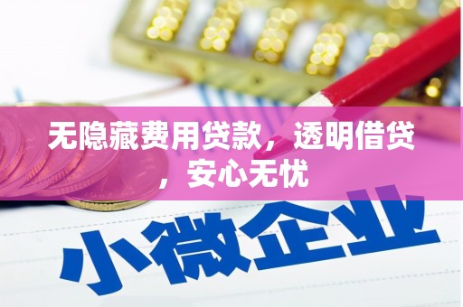 岢岚无隐藏费用贷款，透明借贷，安心无忧
