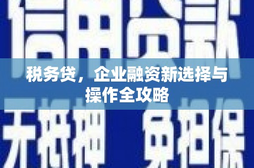 岢岚税务贷，企业融资新选择与操作全攻略