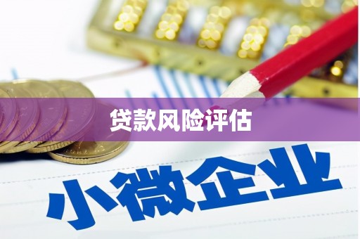岢岚贷款风险评估
