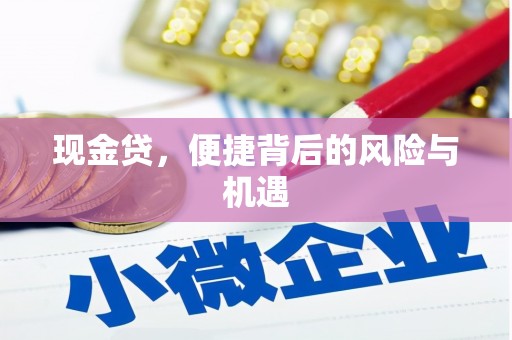 岢岚现金贷，便捷背后的风险与机遇