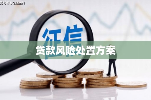 岢岚贷款风险处置方案