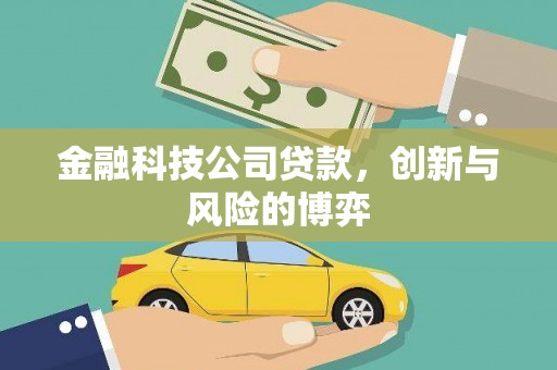 岢岚金融科技公司贷款，创新与风险的博弈
