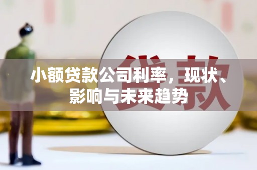 岢岚小额贷款公司利率，现状、影响与未来趋势