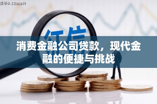 岢岚消费金融公司贷款，现代金融的便捷与挑战