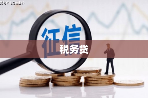 岢岚税务贷