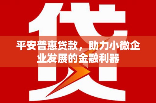 岢岚平安普惠贷款，助力小微企业发展的金融利器