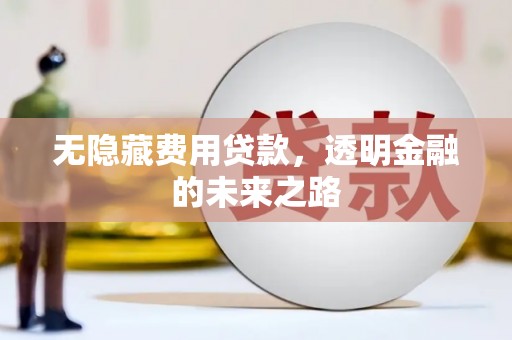 岢岚无隐藏费用贷款，透明金融的未来之路
