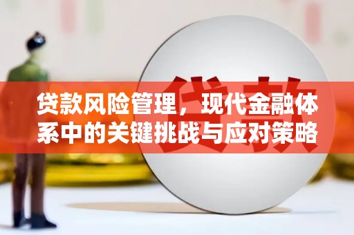 岢岚贷款风险管理，现代金融体系中的关键挑战与应对策略
