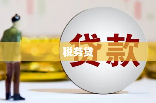 岢岚税务贷