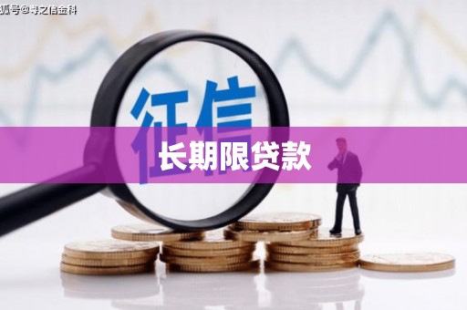 岢岚长期限贷款