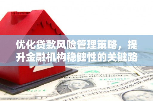 岢岚优化贷款风险管理策略，提升金融机构稳健性的关键路径