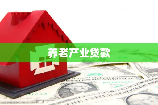 岢岚养老产业贷款