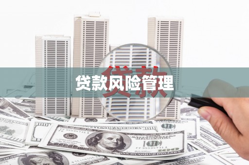岢岚贷款风险管理