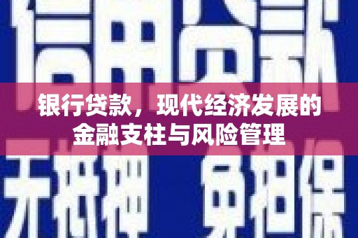 岢岚银行贷款，现代经济发展的金融支柱与风险管理
