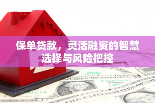 岢岚保单贷款，灵活融资的智慧选择与风险把控