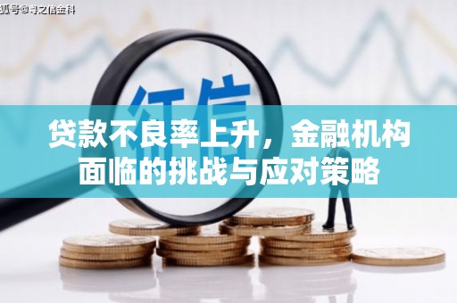 岢岚贷款不良率上升，金融机构面临的挑战与应对策略