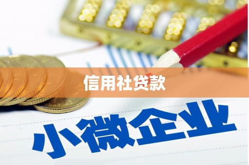 岢岚信用社贷款