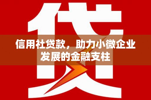 岢岚信用社贷款，助力小微企业发展的金融支柱