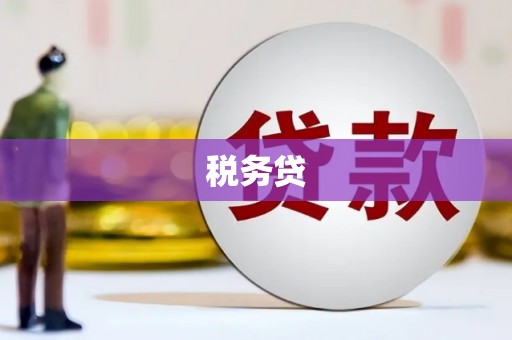 岢岚税务贷