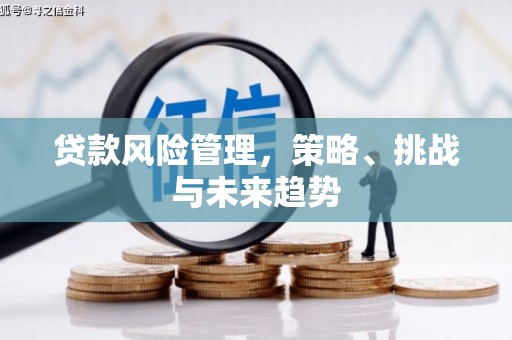 岢岚贷款风险管理，策略、挑战与未来趋势