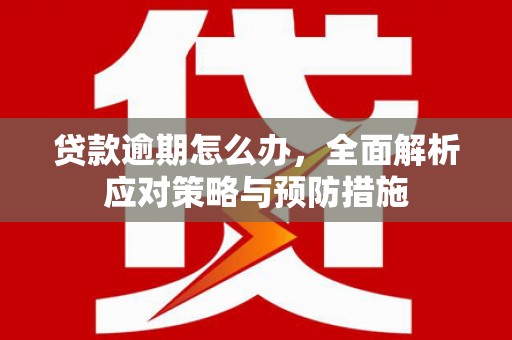 岢岚贷款逾期怎么办，全面解析应对策略与预防措施