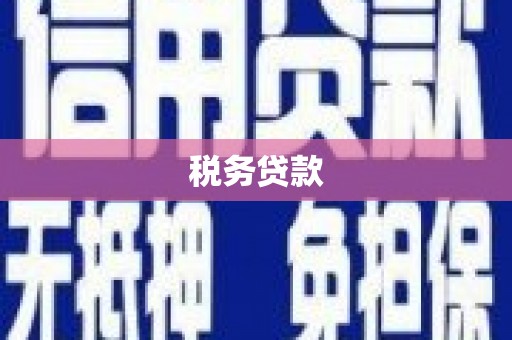 岢岚税务贷款