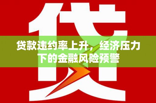 岢岚贷款违约率上升，经济压力下的金融风险预警