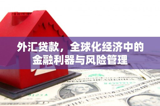 岢岚外汇贷款，全球化经济中的金融利器与风险管理