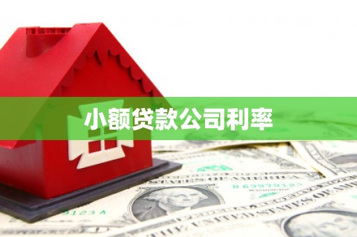 岢岚小额贷款公司利率