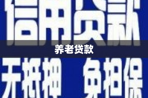 岢岚养老贷款