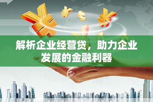 岢岚解析企业经营贷，助力企业发展的金融利器