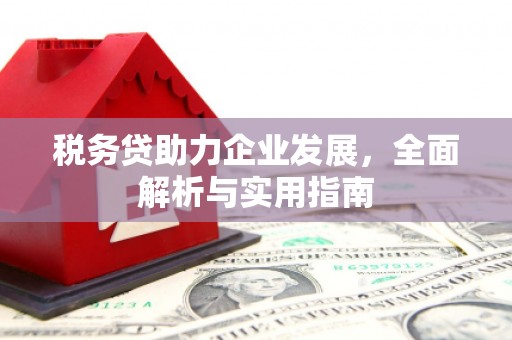 岢岚税务贷助力企业发展，全面解析与实用指南