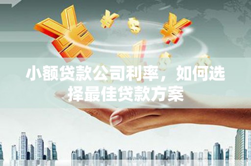 岢岚小额贷款公司利率，如何选择最佳贷款方案