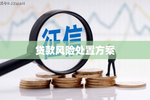 岢岚贷款风险处置方案