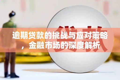 岢岚逾期贷款的挑战与应对策略，金融市场的深度解析