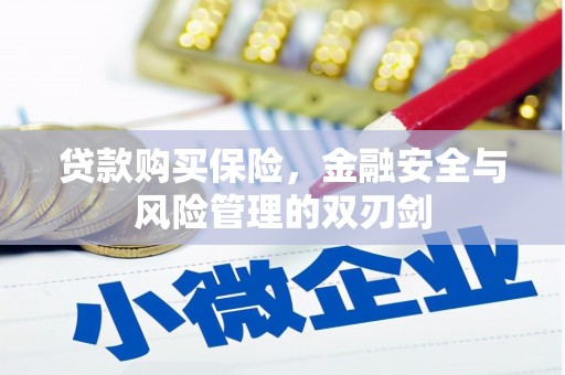 岢岚贷款购买保险，金融安全与风险管理的双刃剑