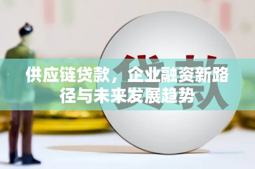 岢岚供应链贷款，企业融资新路径与未来发展趋势