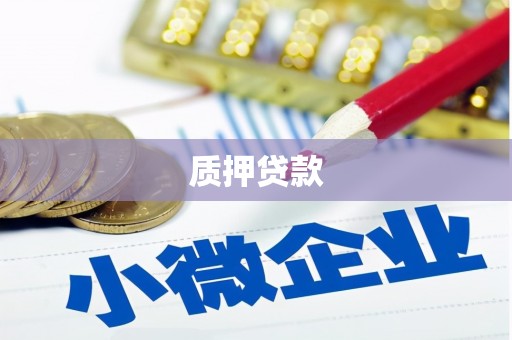 岢岚质押贷款