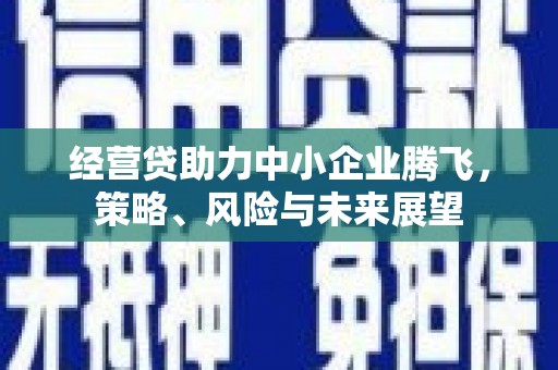 岢岚经营贷助力中小企业腾飞，策略、风险与未来展望