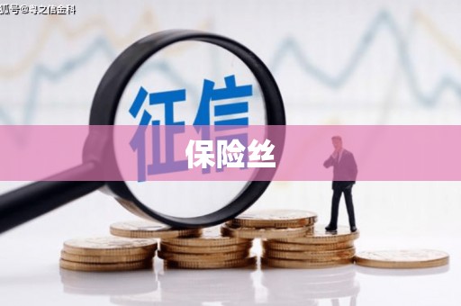 岢岚保险丝