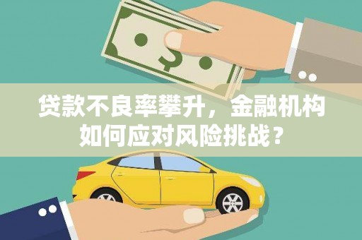 岢岚贷款不良率攀升，金融机构如何应对风险挑战？
