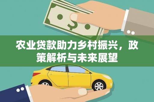 岢岚农业贷款助力乡村振兴，政策解析与未来展望