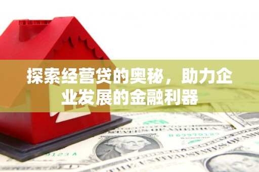 岢岚探索经营贷的奥秘，助力企业发展的金融利器