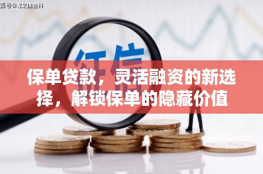 岢岚保单贷款，灵活融资的新选择，解锁保单的隐藏价值