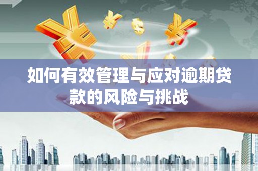 岢岚如何有效管理与应对逾期贷款的风险与挑战
