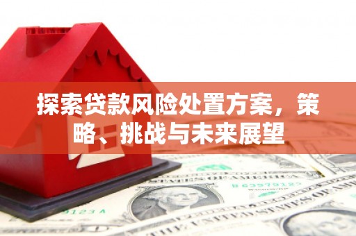 岢岚探索贷款风险处置方案，策略、挑战与未来展望