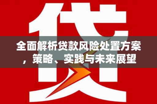 岢岚全面解析贷款风险处置方案，策略、实践与未来展望