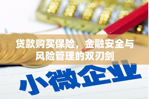 岢岚贷款购买保险，金融安全与风险管理的双刃剑